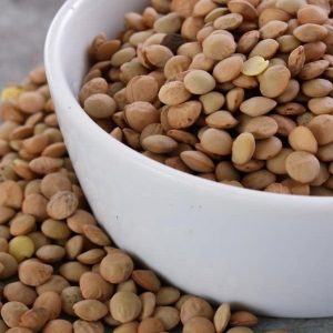 Brown Lentils